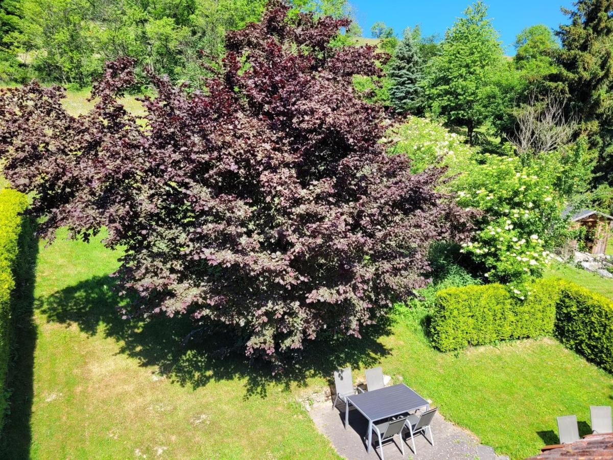Ferienwohnung Forsthaus Willingen  Luaran gambar